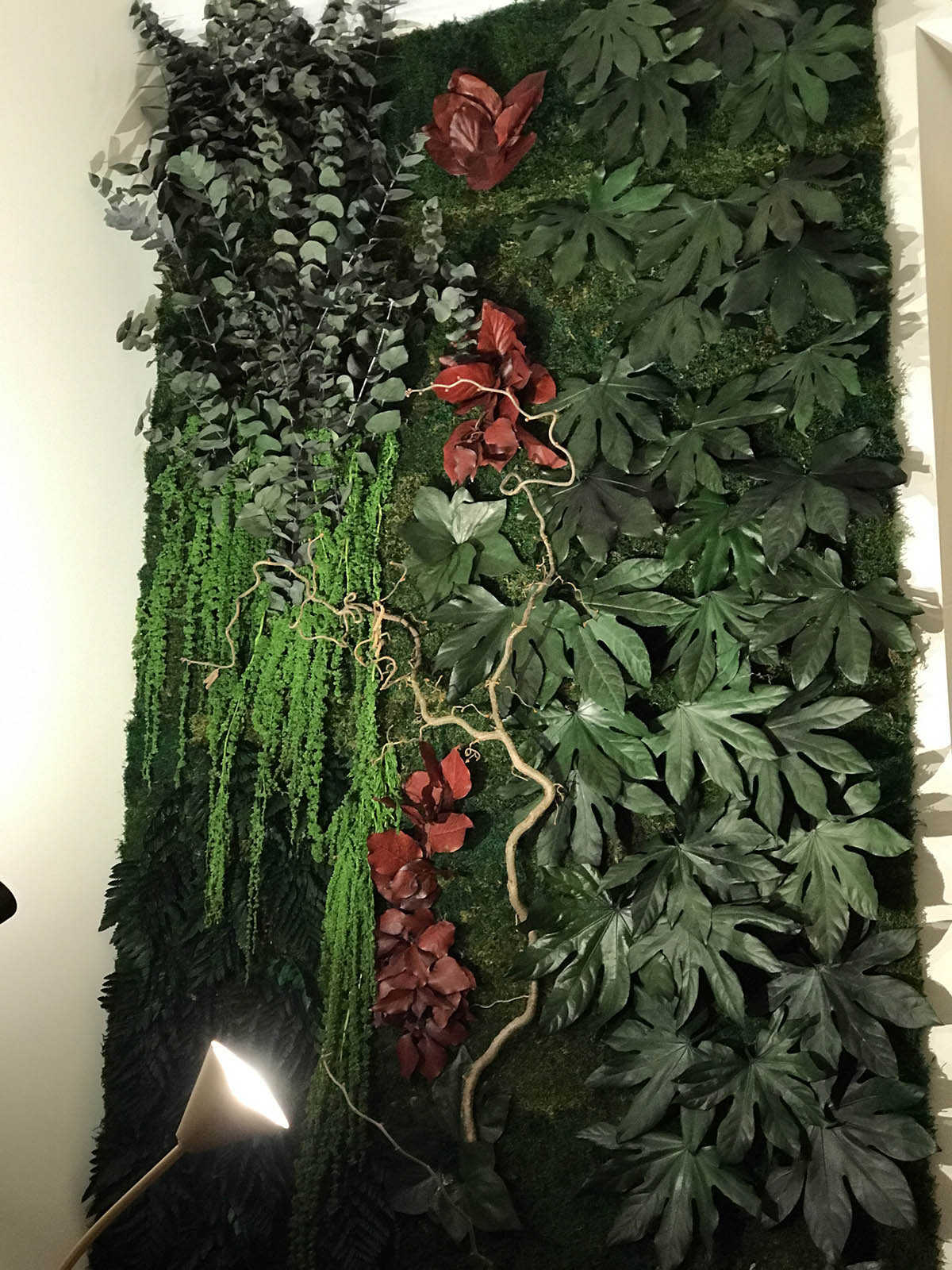 Pareti vegetali