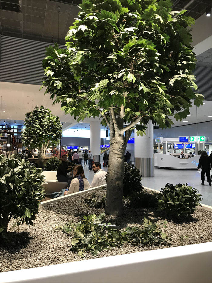 Piante Semi Naturali